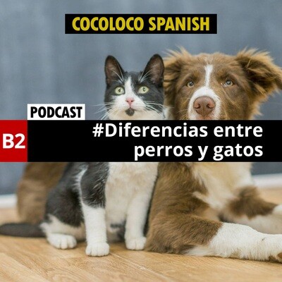 Diferencias entre perros y gatos. Documento de trabajo