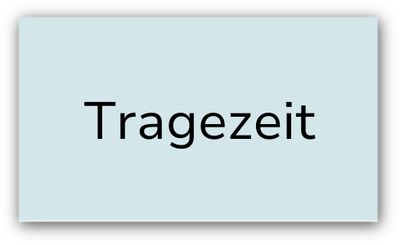 Kategorie: Tragezeit