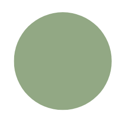 Grüne Farblinsen – für einen lebendigen und ausdrucksstarken Look