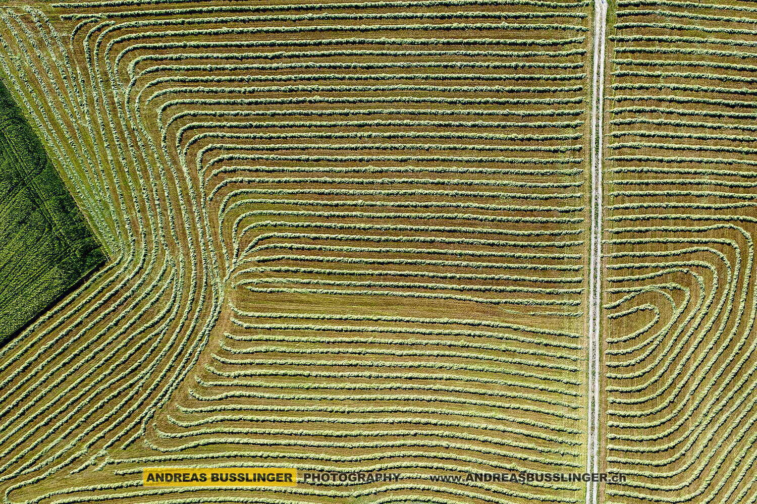Landwirtschaft im Rafzerfeld bei Hüntwangen, Kanton Zürich