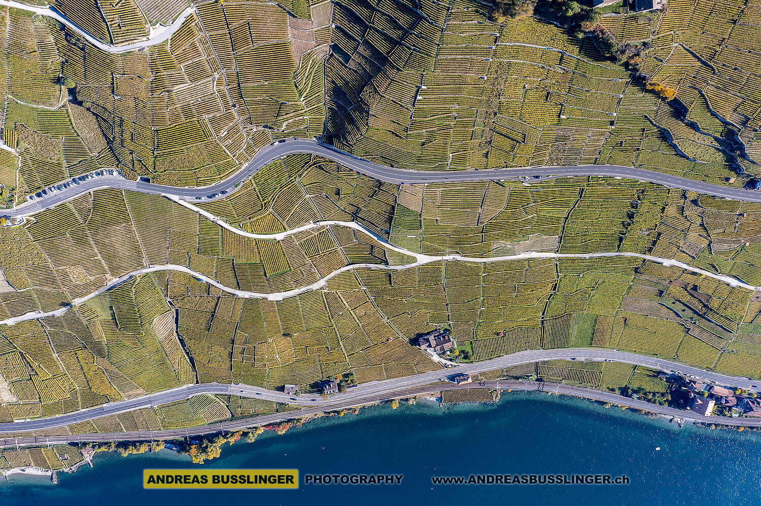 Lavaux am Genfersee östlich von Epesses, Kanton Waadt