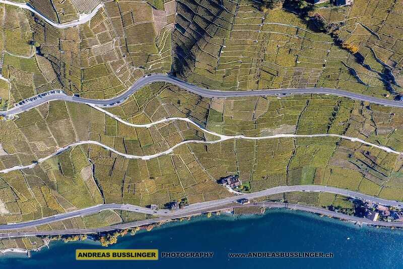 Lavaux am Genfersee östlich von Epesses, Kanton Waadt