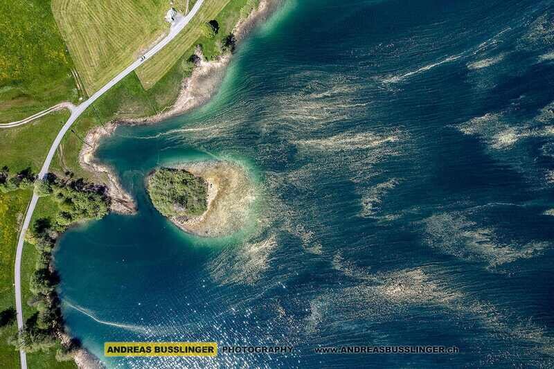 Blütenstaub auf dem Ägerisee, Oberägeri, Kanton Zug