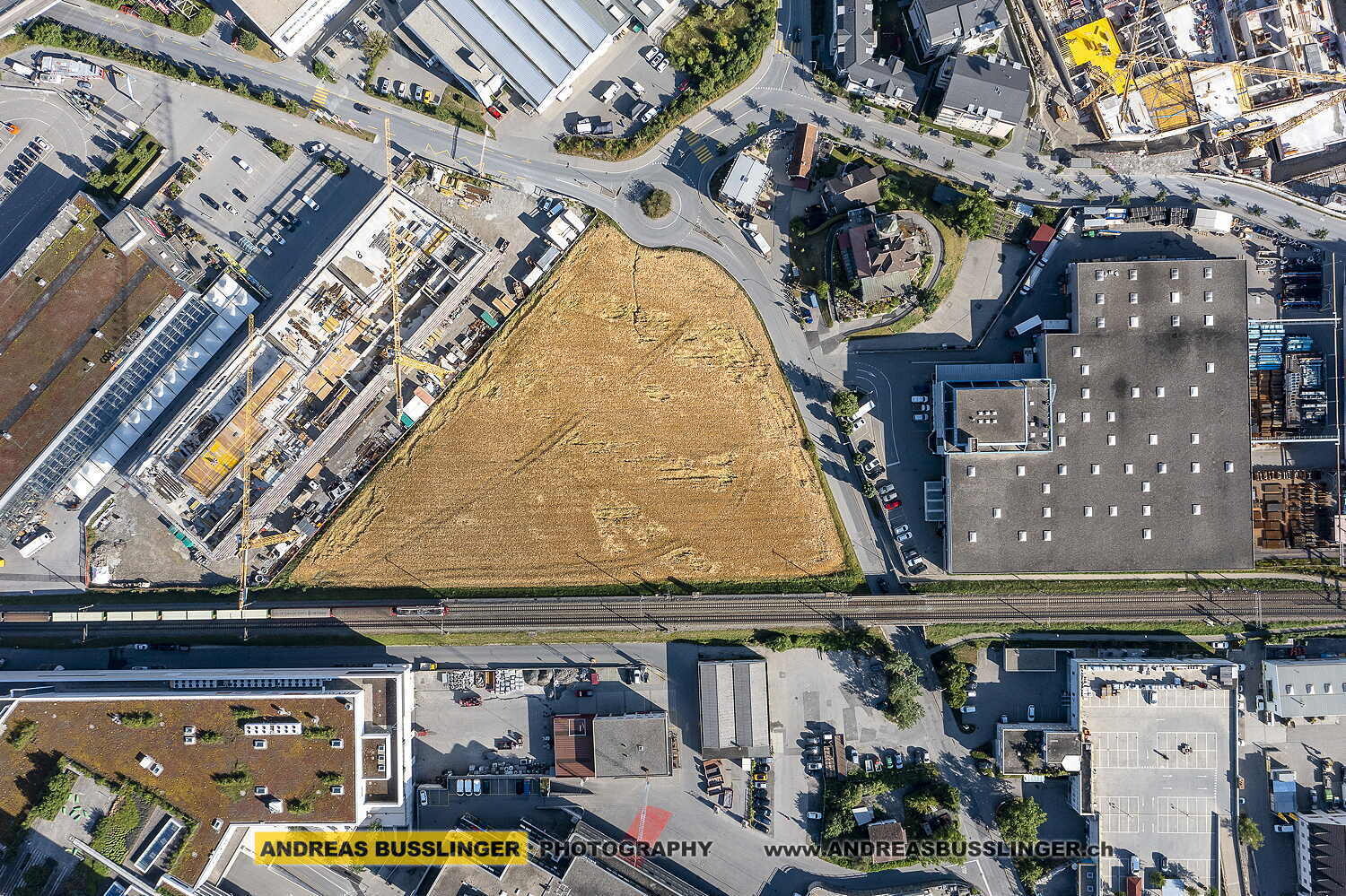 Getreidefeld in der Stadt Chur, Kanton Graubünden