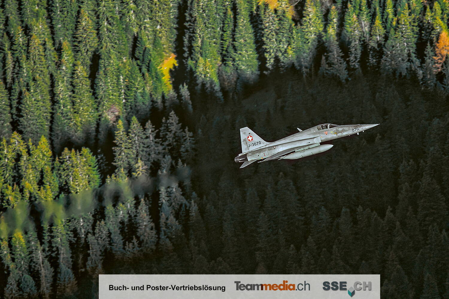 Swiss Tiger Parallel Flight, Tagaufnahme