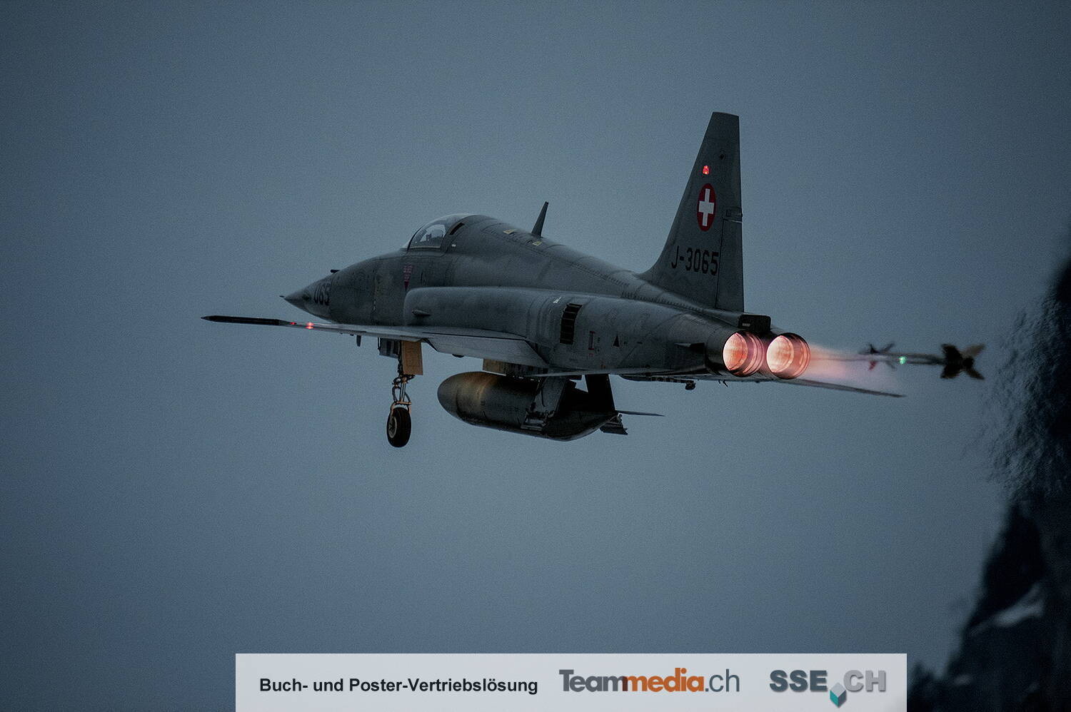 Swiss Tiger Parallel Flight