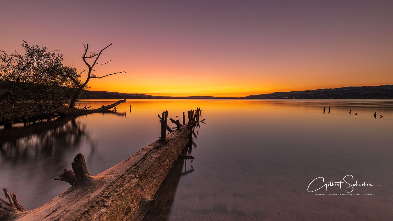 Sonnenuntergang am Sempachersee (LU)