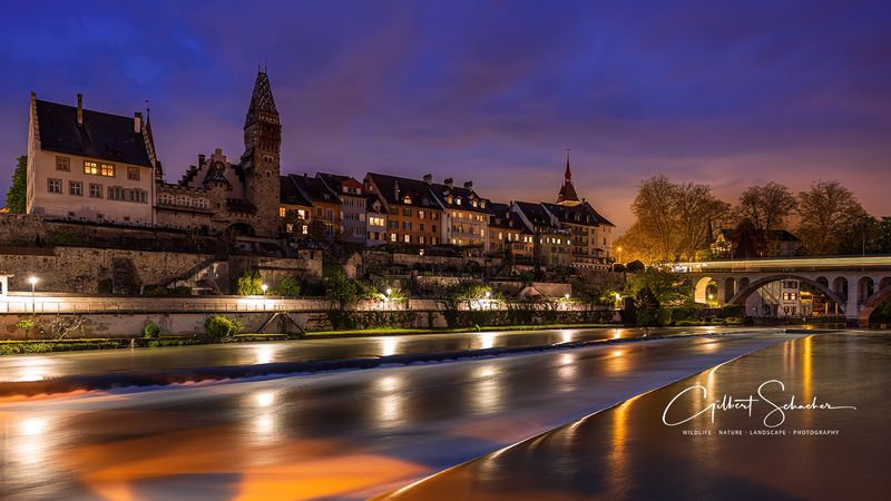 Reussfront bei Bremgarten (AG)