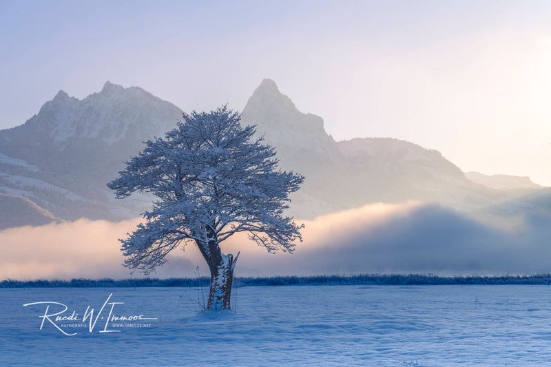 Mythen im Nebelmorgen (SZ)