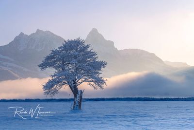 Mythen im Nebelmorgen (SZ)