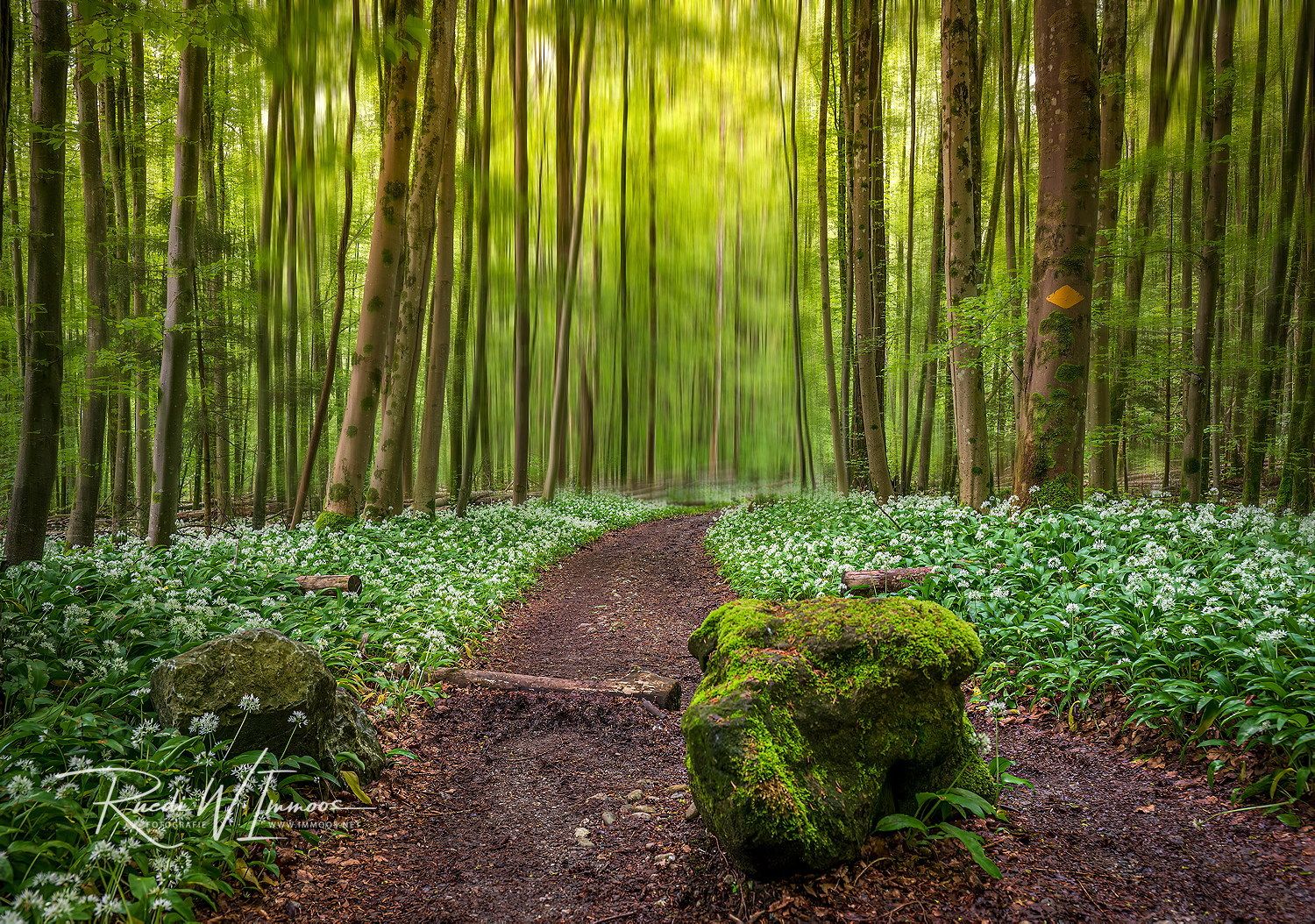 Naturpark Sihl-Wald (ZH)