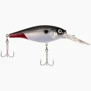 Berkley Flicker Shad #7 FFSH7M-FTRTA Firetail Red Tail