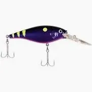 Berkley Flicker Shad 7" Firetail Chrome Candy