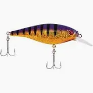 Berkley Flicker Shad Pro #7, Slick Purple Bengal, FFSH7M-SLPB