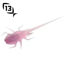 13 Fishing BAMF Purple Rain