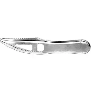 Danielson Cheap Fish Scaler