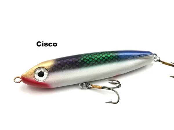 ESOX HELL HOUND LIVE 8" CISCO