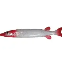 K&amp;E Pike Decoy 10" Red &amp; White