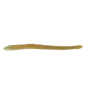 Kalin's Weenie Worm 4.5" Magic