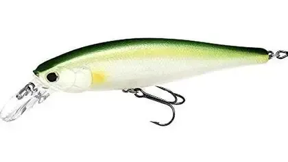 LC Pointer 100 Pearl Ayu