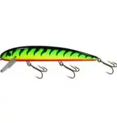 Musky Mania Jake 10" Firetiger