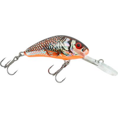 Salmo Freshwater Floating Hornet 4 Silver Black Red