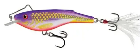 Salmo Rail Shad Holo Purpledsc