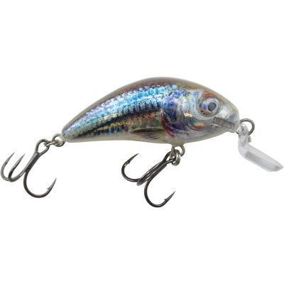 Salmo Rattlin Hornet Shallow 4.5" Supernatural Shiner