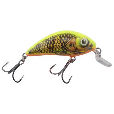 Salmo Rattlin Hornet Shallow 4.5" GoldPerch