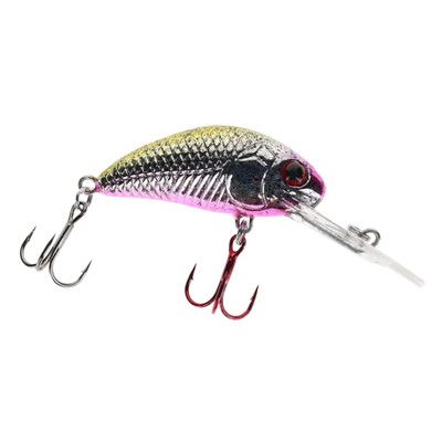 Vexan Rattlin Wasp #4, Easter Egg, RW4-24