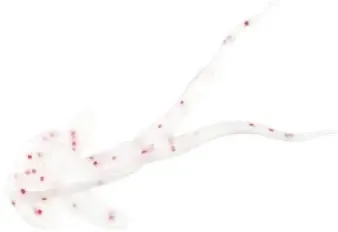 clam matdi white/red flake