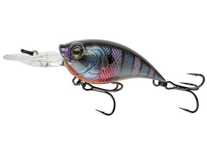 curve 55- bluegill spawn
