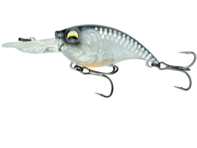 curve 55- sensory shad