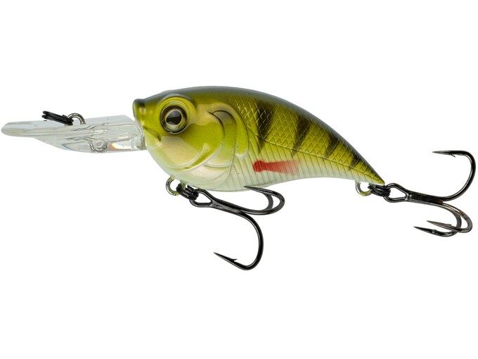 curve55-yellow perch