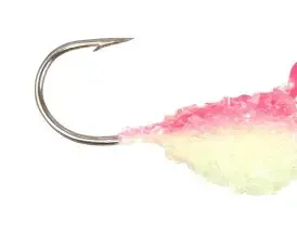 snow drop #8 sour cherry