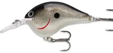 Rapala DT06 S Silver