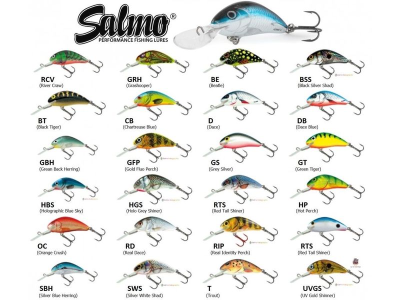 Salmo Hornet 2" Hollywood, QHT 489