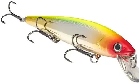 Strike King KVD Jerkbait 300D Clown