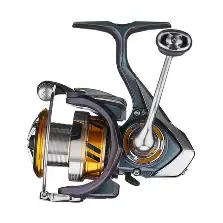 Daiwa Regal LT 2500D  Spin Reel 10BB 2