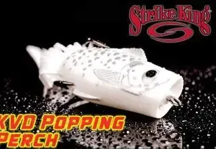 KVD Popping Perch Wite Shadow
