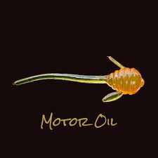 P3Plastics, Scuttle Stinger 1'' Motoroil