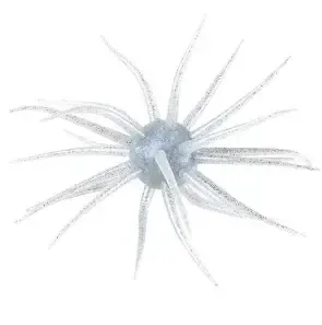 Hideup Coike, 17mm Tamaranbai Blue