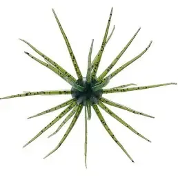 Hideup Coike, 13mm Watermelon Seed