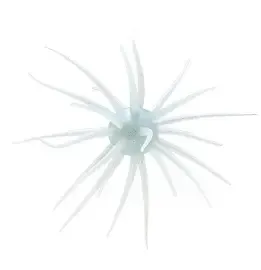 Hideup Coike, 13mm Tamaranbai Blue