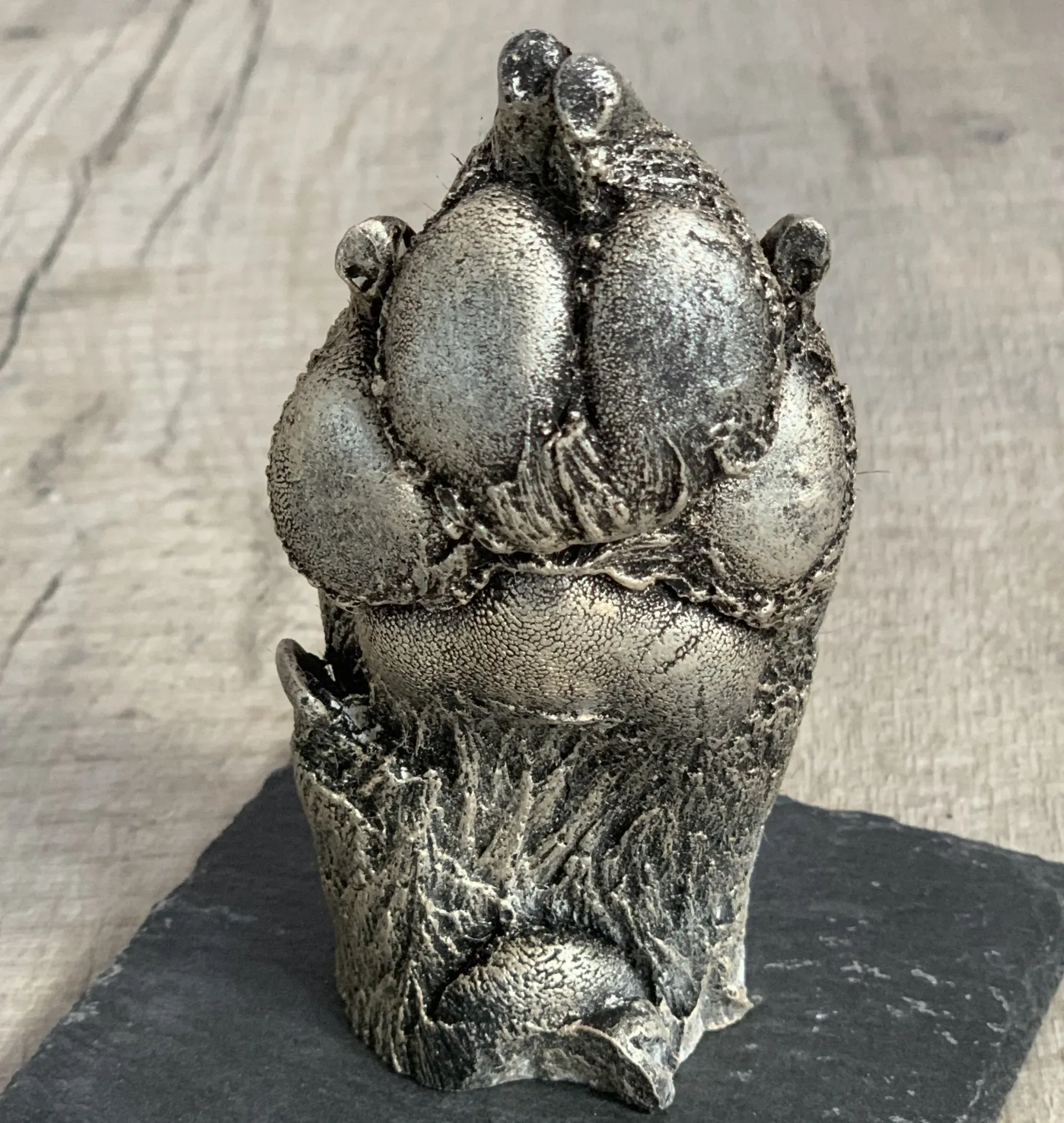 Pet casting creation appointment from £65