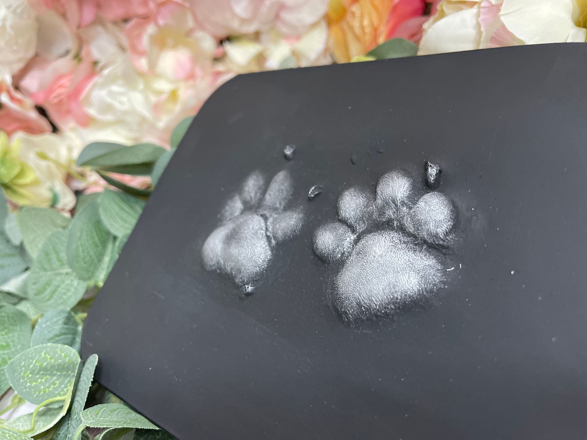 Pet Impression/outprint creation appointment