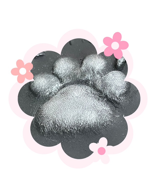 Pet Impression/outprint creation appointment