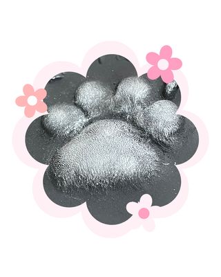 Pet Impression/outprint creation appointment