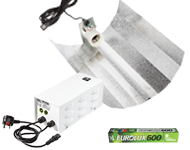 Maxibright Xpert 600W kit