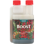 Boost Accelerator